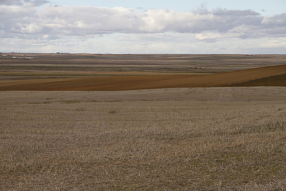 Cereal Plains near Villafafila - Spain