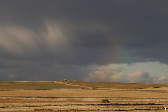 Cereal Plains near Villafafila - Spain
