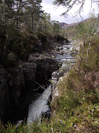 Glen Affric - Scotland