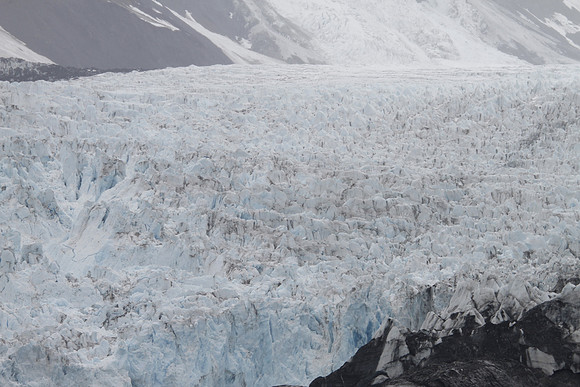 Surprise Glacier - Prince William Sound -Alaska