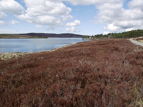 Lochindorb - Scotland