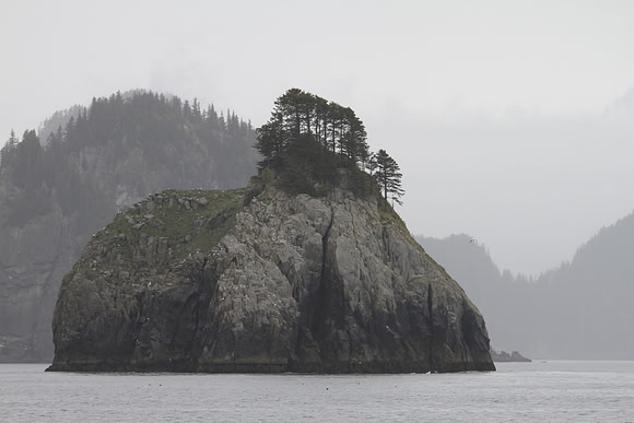 Kenai Peninsular coast -Alaska