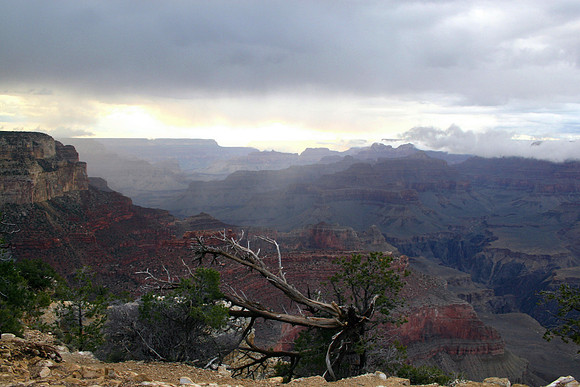 Grand Canyon - Arizona