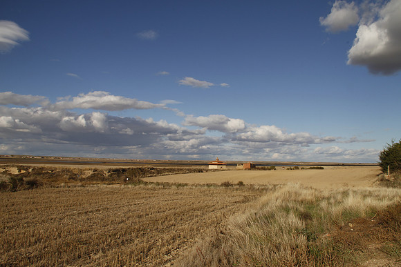 Cereal Plains near Villafafila - Spain
