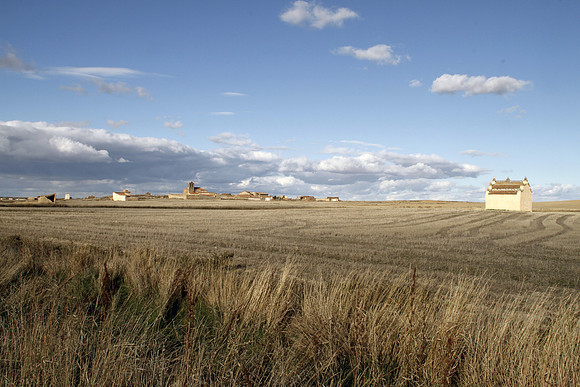 Cereal Plains near Villafafila - Spain