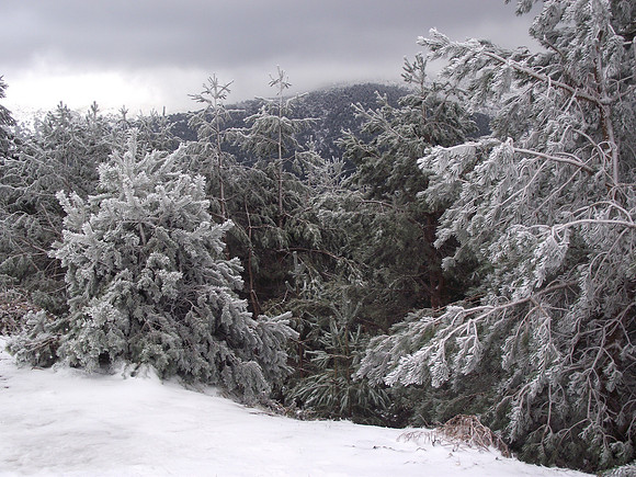 Snow in the Sierra Guadarramas Spain