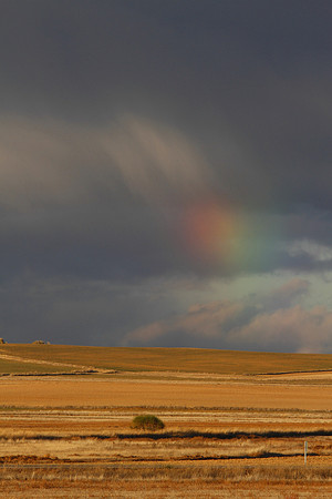 Cereal Plains near Villafafila - Spain
