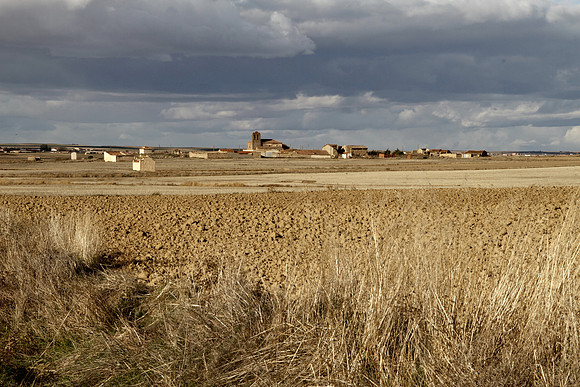 Cereal Plains near Villafafila - Spain