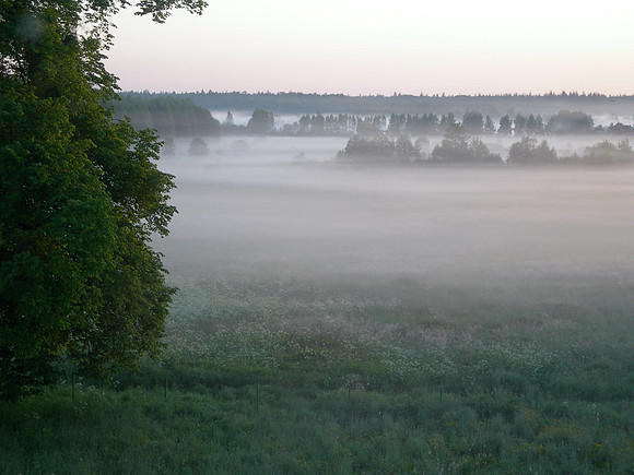 Polish dawn
