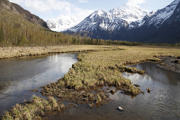 Eagle River Nature Centre - Alaska
