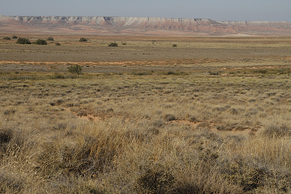 El Planeron reserve - Zaragosa - Spain
