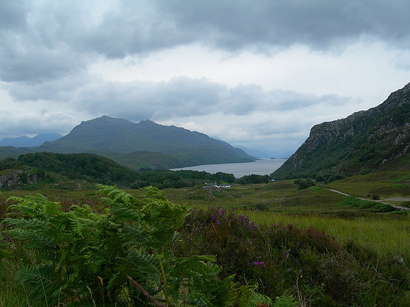 near Loch Maree- Scotland