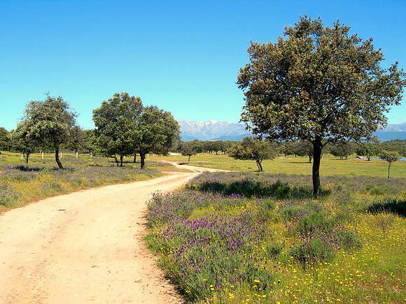 Embalse north of Oropesa -Spain