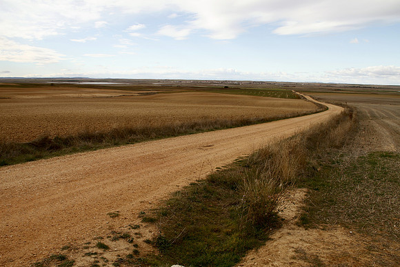 Cereal Plains near Villafafila - Spain