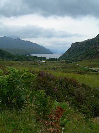 near Loch Maree - Western Scotland