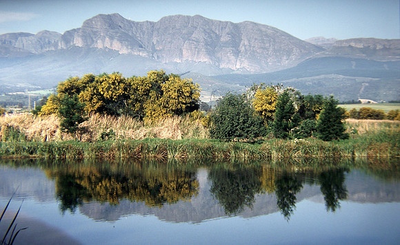 Paarl - South Africa